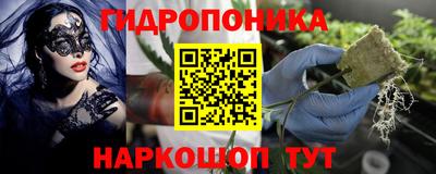 apvp Нарткала