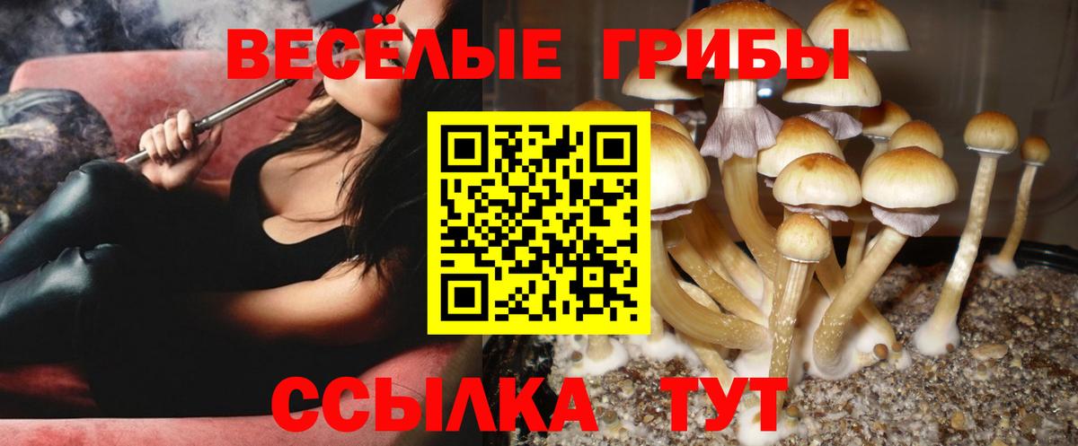 Псилоцибиновые грибы Cubensis  Вход с VPN  Галлюциногенные грибы MAGIC MUSHROOMS  Сибай 